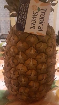 Pineapple Ananas