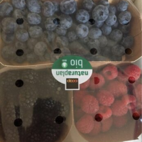 Bio baies mixtes special
