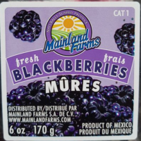 Blackberries