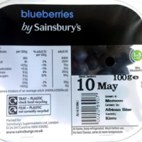 Blueberries