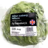 British Iceberg Lettuce