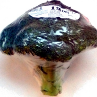 Broccoli