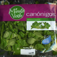 Canónigos