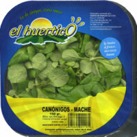 Canónigos