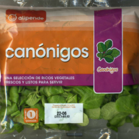 Canónigos