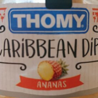 Caribbean Dip