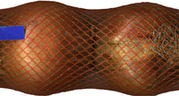 Cebollas