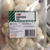 Champignons Champignons