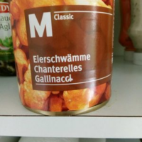 Chanterelles