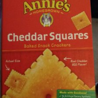 Cheddar Squares