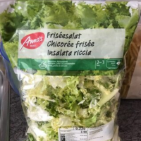 Chicorée frisée