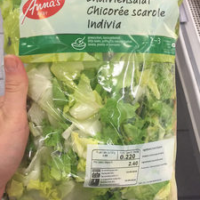 Chicorée scarole