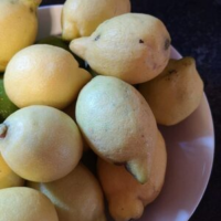 Citron mbudget