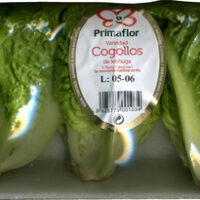Cogollos de lechuga