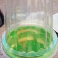 Dino egg