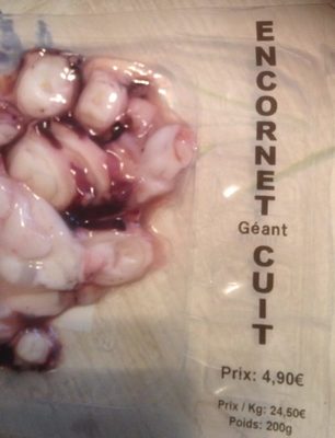 Encornet geant cuit coupe Encornet geant cuit coupe