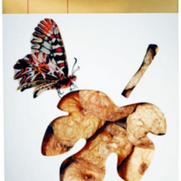 Figues grecques