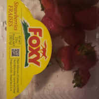 Foxy Strawberries FRAISES
