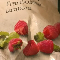 Framboises