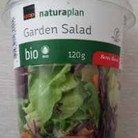 Garden salad