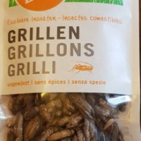 Grillons