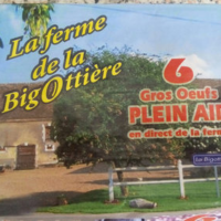 Gros Œufs