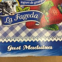 Iogurt La Fageda Sabor Maduixa