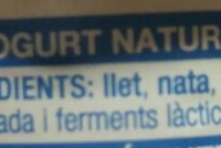 Yogurt grec Natural