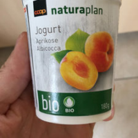 Jogurt : Abricot