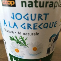 Jogurt a la Grecque Nature