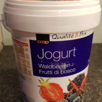 Jogurt  baies des bois