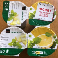 Yogurt Lemon-mélisse Jogurt citron-mélisse