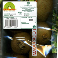Kiwi