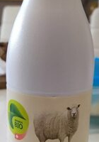 Lait de brebis