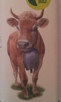Lait entier