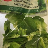 Laitue pommée verte