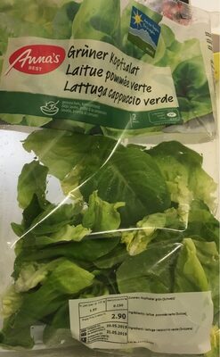Green Lettuce Laitue pommée verte