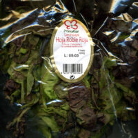 Lechuga Hoja de roble roja