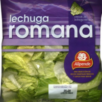 Lechuga Variedad Romana