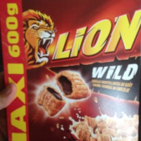 Lion Wild