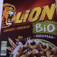 Lion bio