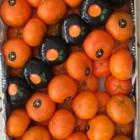 Mandarine