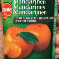 Mandarines au sirop léger