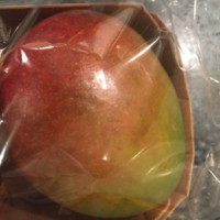 Mangue Mangue