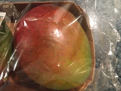 Mangue Mangue