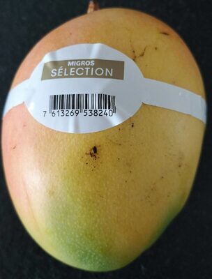 Mangue Mangue