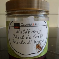 Miel de forêt