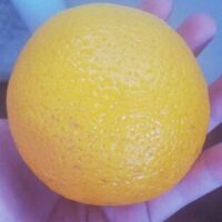 Naranjas de zumo