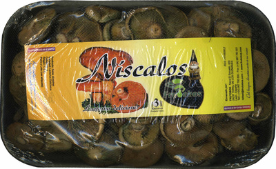 Níscalos Níscalos