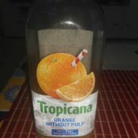 Orange Without Pulp